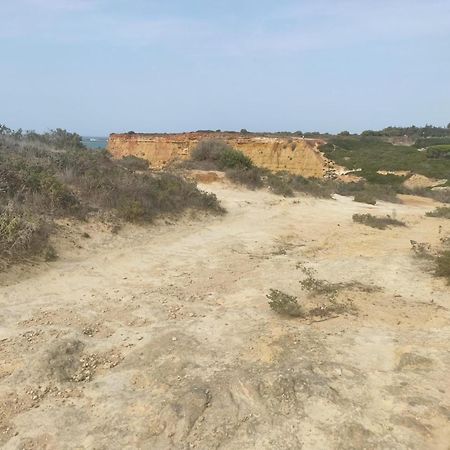 Villa Alzahra à Conil De La Frontera Extérieur photo